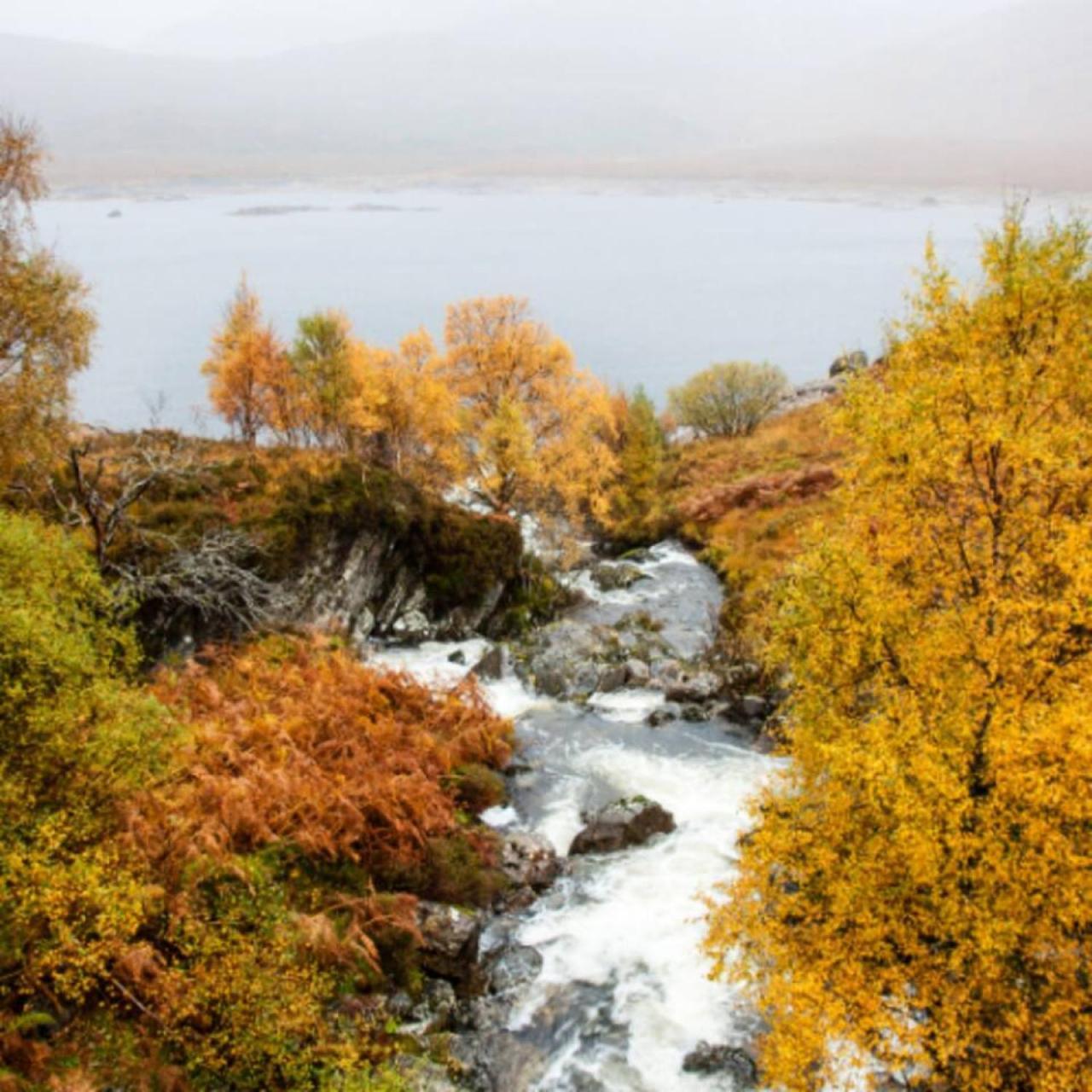 'Gordon' In Allandale Aparthotel Auchterarder Dış mekan fotoğraf